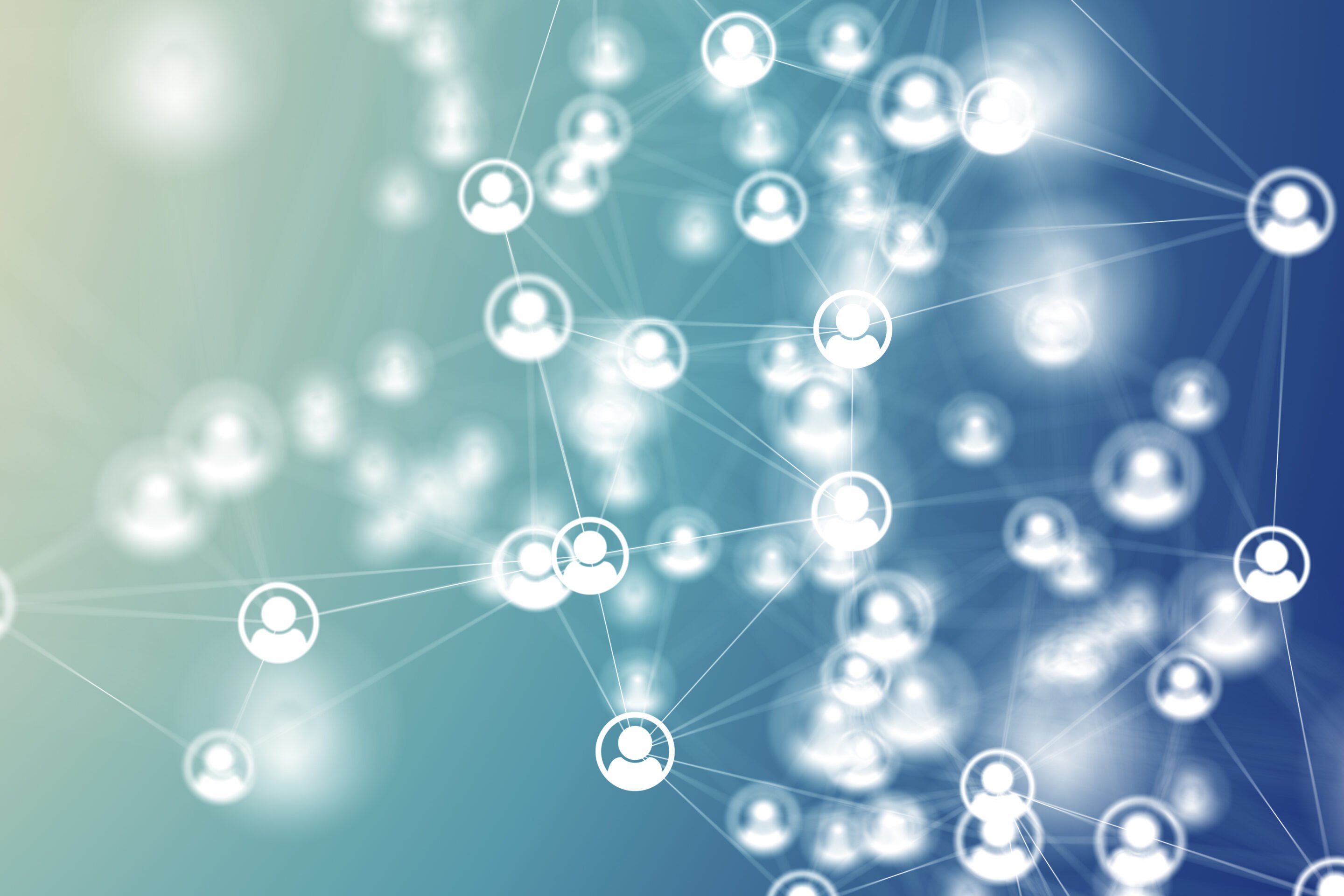 Social Network
